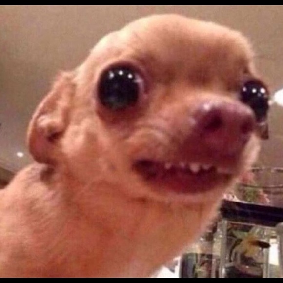 Meet your Posher, Emari - Picture 1 of 1